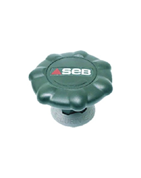 Bouton de serrage vert pour Cocotte Authentique ref800 SEB 