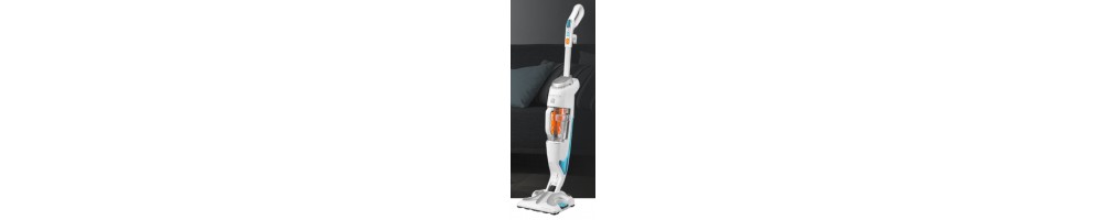 aspirateur laveur rowenta